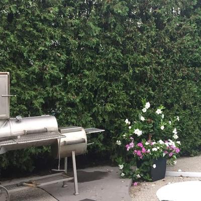 Smith Steel Smoker Poolside